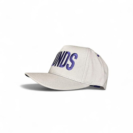 HOUNDS steel gray snapback