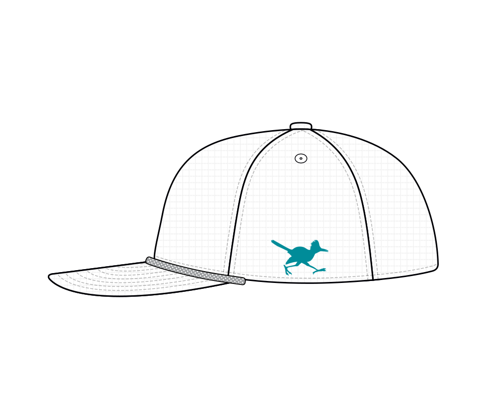 Pre-order: Van Raub Script Snapback